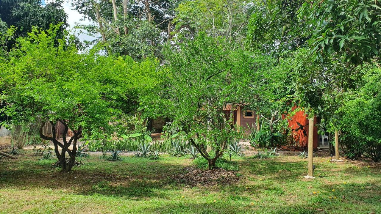Free Soul House - Localizacao Ideal No Centrinho Alto Paraíso de Goiás エクステリア 写真