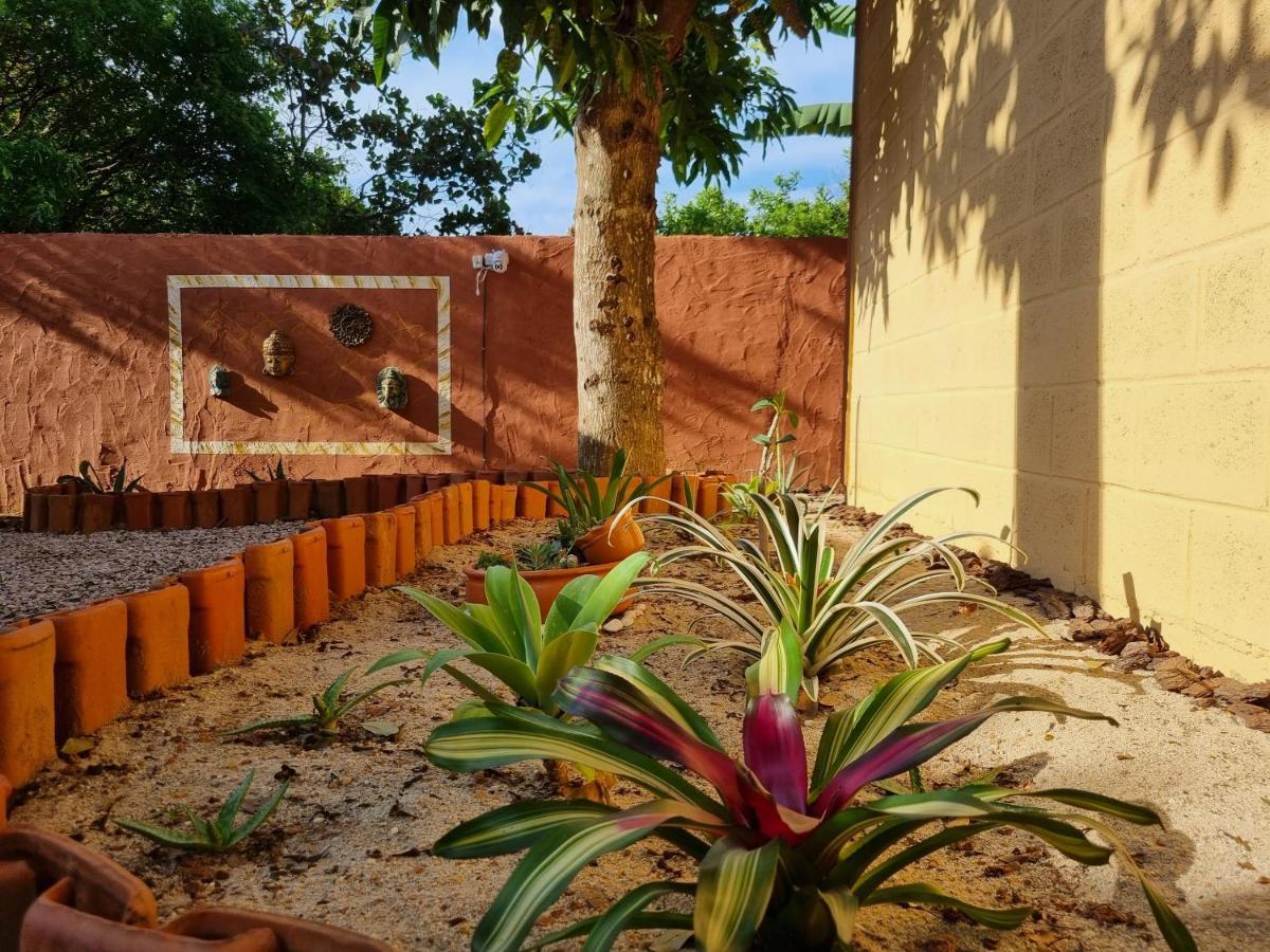 Free Soul House - Localizacao Ideal No Centrinho Alto Paraíso de Goiás エクステリア 写真